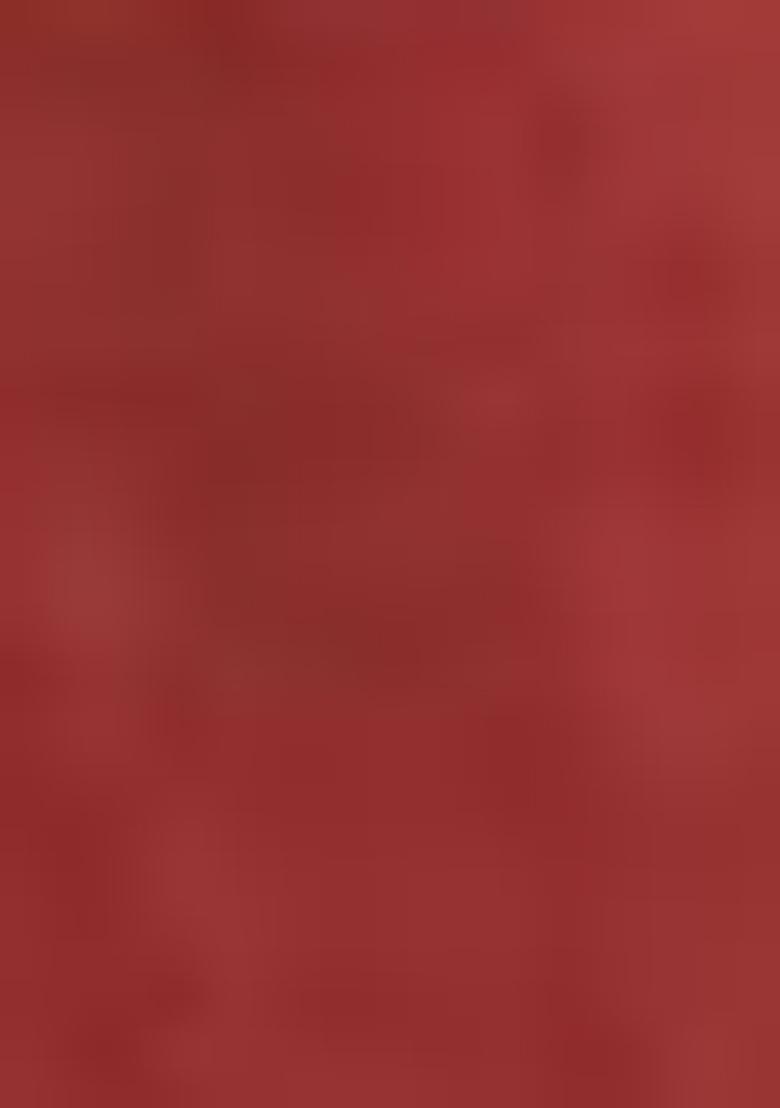 Red Embroidered Chanderi Lehenga Set With Dupatta