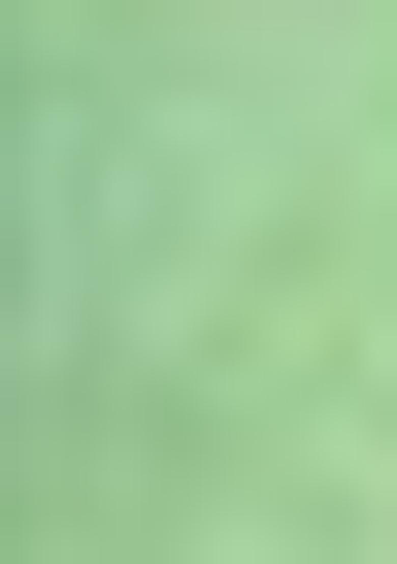 Green Embroidered Silk Lehenga Set With Dupatta