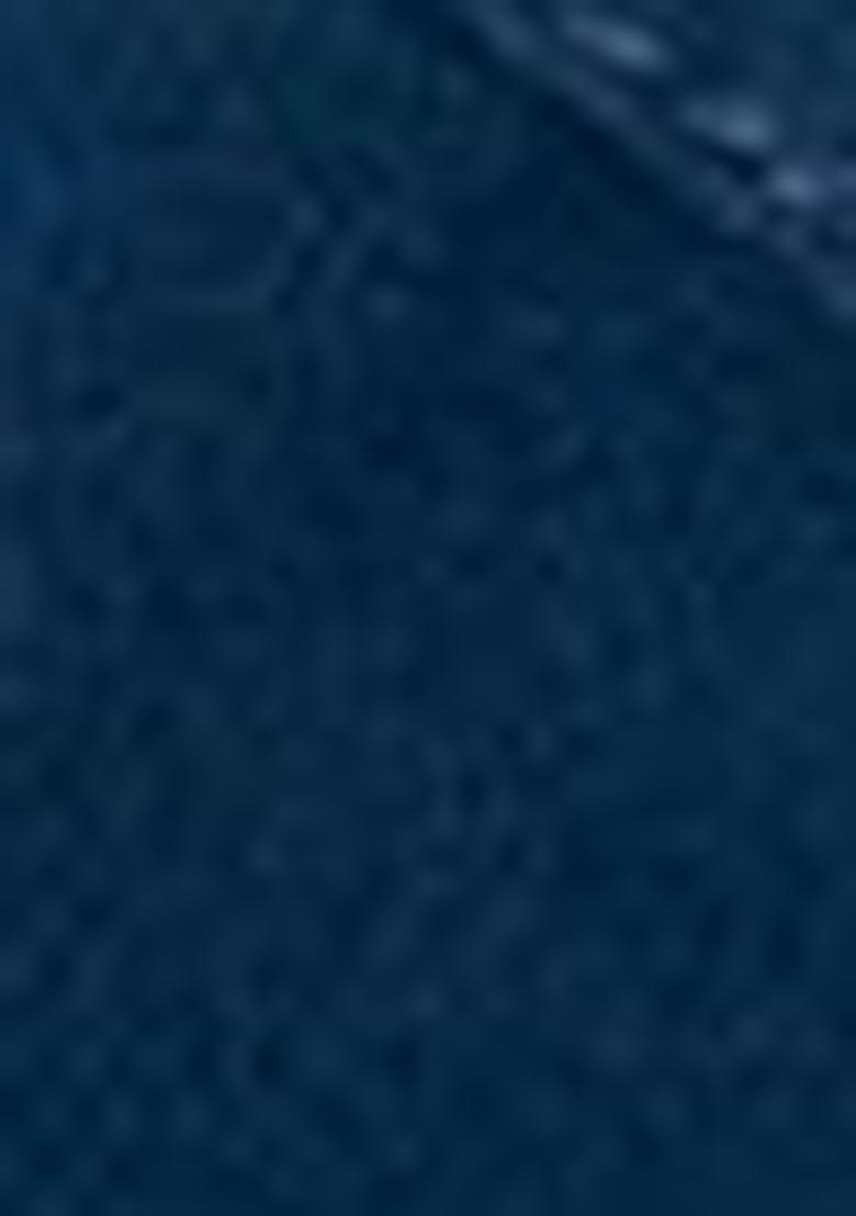 Blue Embroidered Georgette Lehenga Set With Dupatta