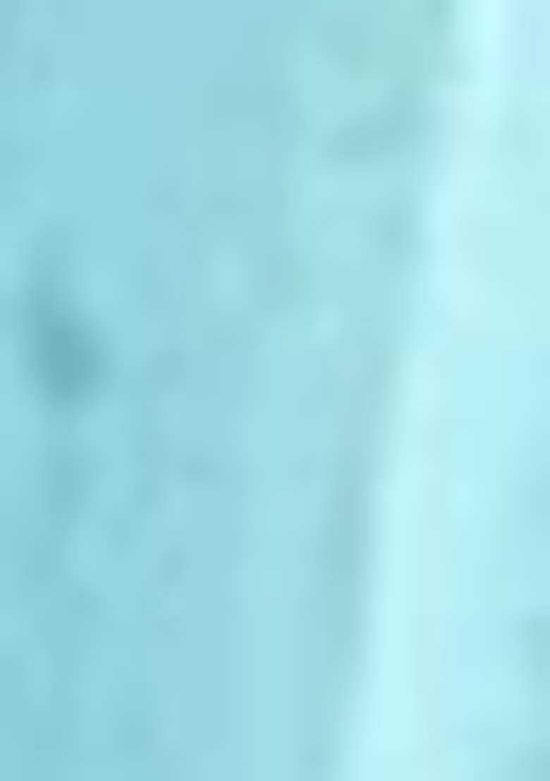 Sky Blue Printed Silk Blend Lehenga Set With Dupatta - Indya