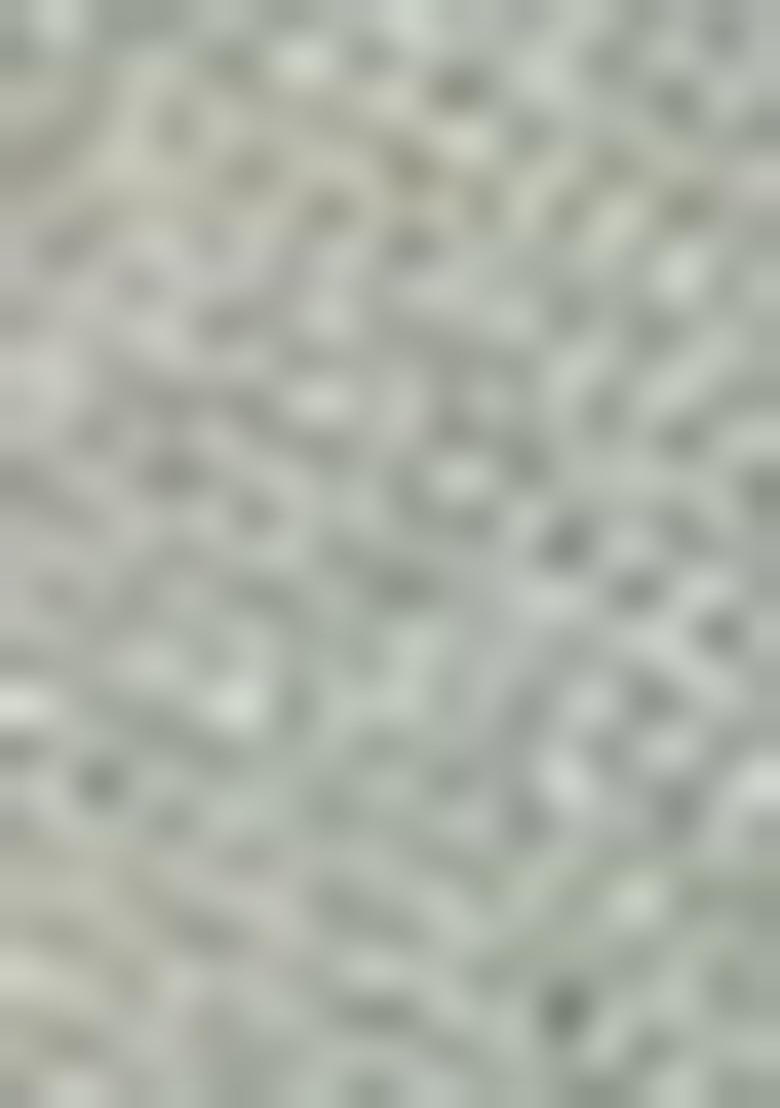 Sky Blue Embroidered Silk Lehenga Set With Dupatta