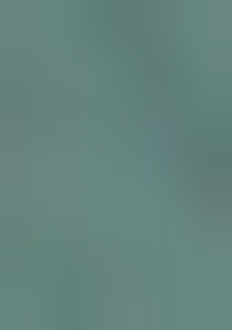 Green embroidered Cotton Lehenga Set With Dupatta