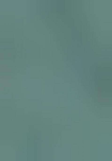 Green embroidered Cotton Lehenga Set With Dupatta