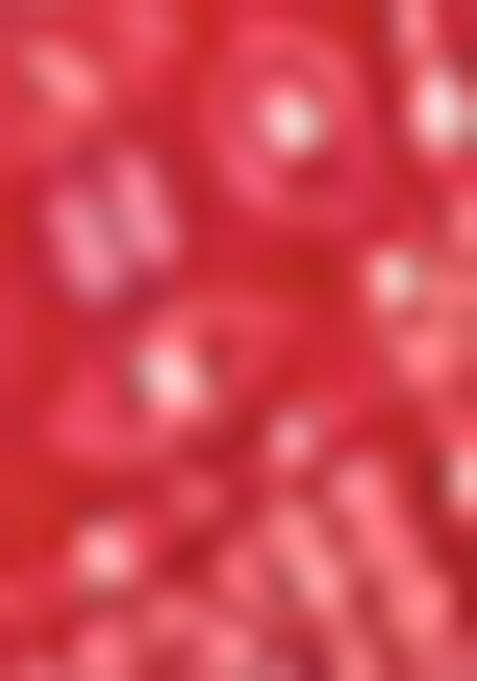 Red Meenakari Cotton Lehenga Set