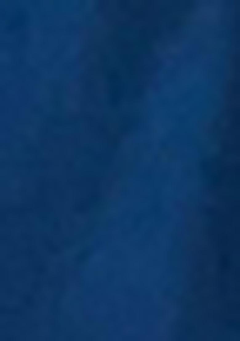 Blue Printed Cotton Lehenga Set