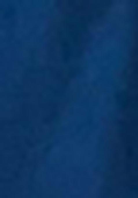 Blue Printed Cotton Lehenga Set