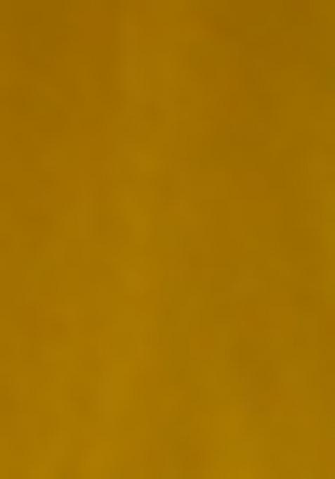 Mustard Yellow Solid Cotton Lehenga Set