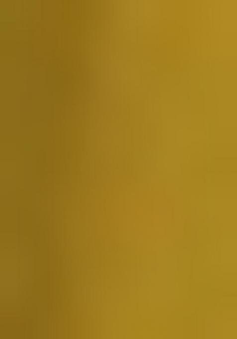 Mehndi Gota Patti Rayon Lehenga Set