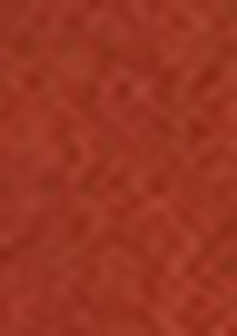 Red Silk Embroidered Lehenga Set