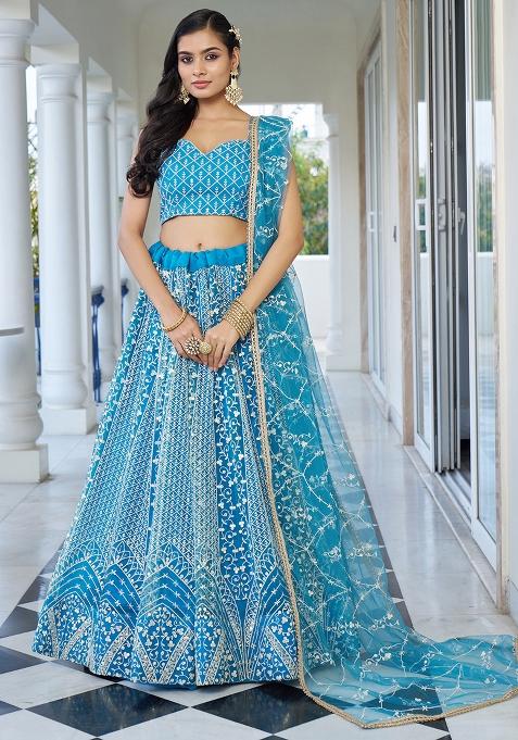 Sky Blue Net Embroidered Lehenga Set