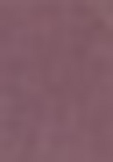 Lavender Net Embroidered Lehenga Set