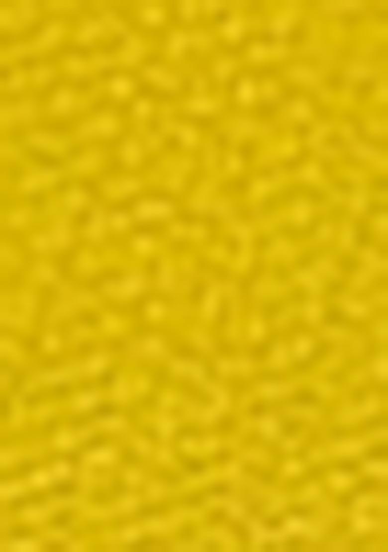 Mustard Yellow Net Embroidered Lehenga Set