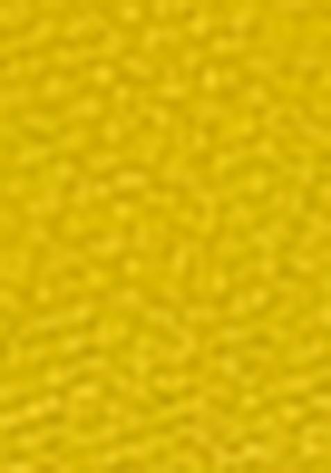 Mustard Yellow Net Embroidered Lehenga Set