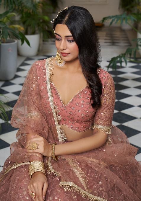 Rust Net Embroidered Lehenga Set