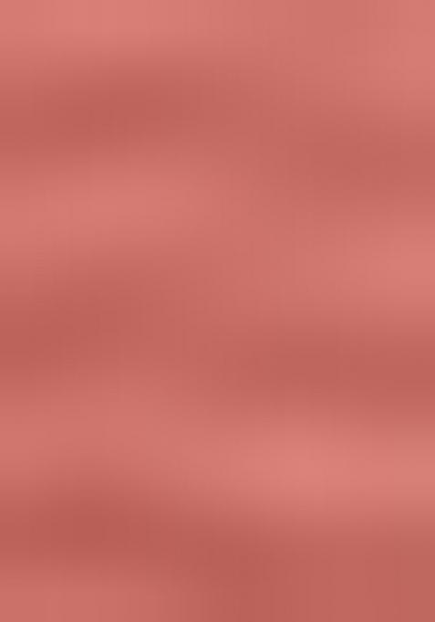 Rust Net Embroidered Lehenga Set