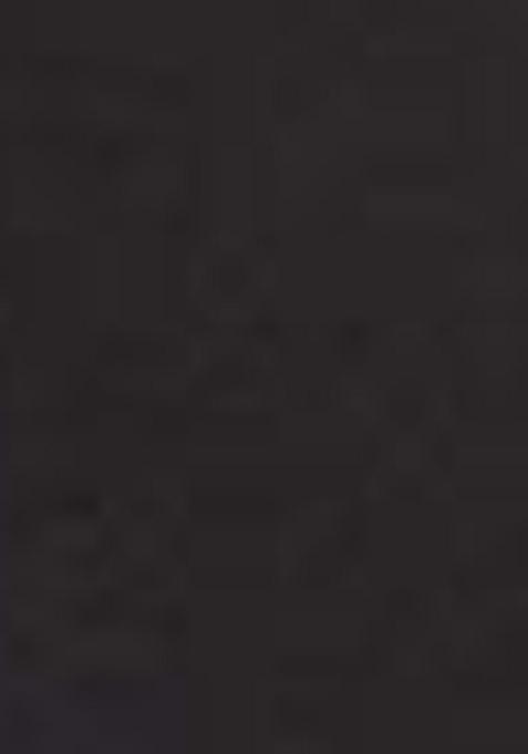 Black Embroidered Georgette Lehenga Set With Dupatta