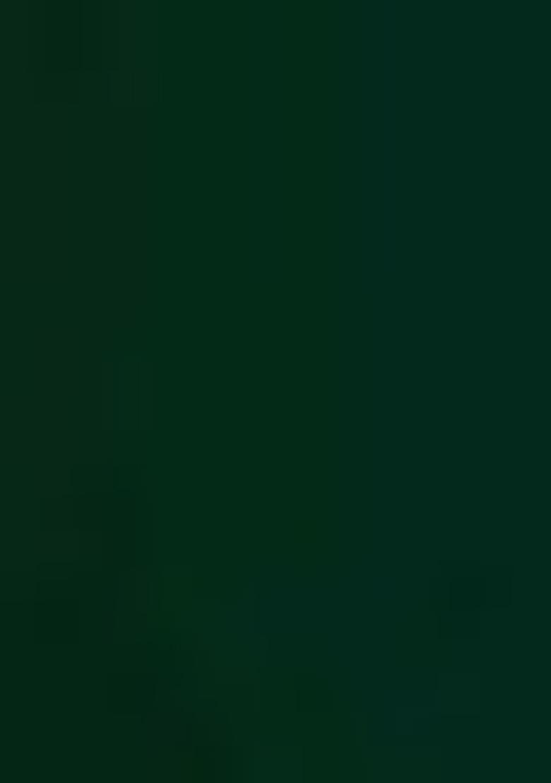 Green Embroidered Georgette Lehenga Set With Dupatta