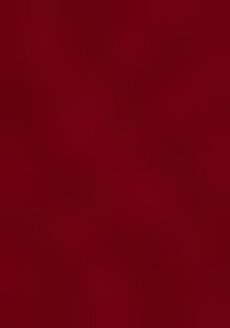 Maroon Embroidered Georgette Lehenga Set With Dupatta