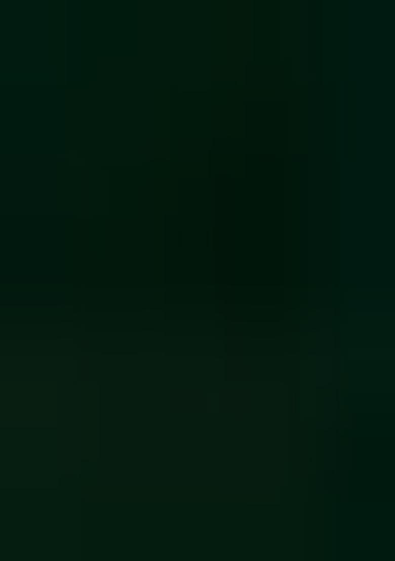 Multicolor embroidered Georgette Lehenga Set With Dupatta