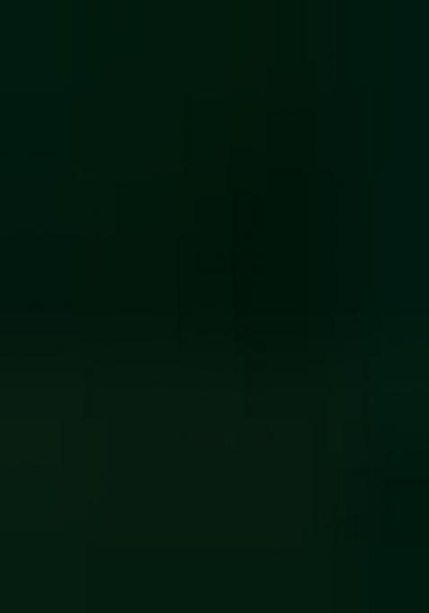 Multicolor embroidered Georgette Lehenga Set With Dupatta