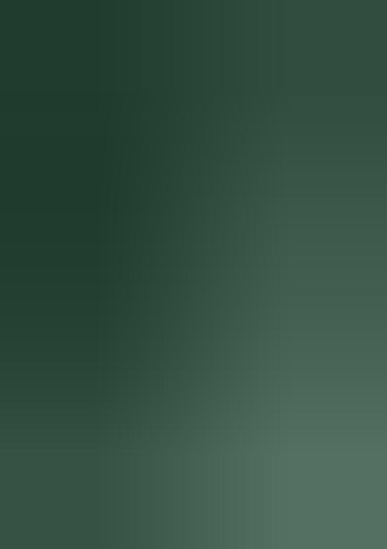 Multicolor embroidered Georgette Lehenga Set With Dupatta