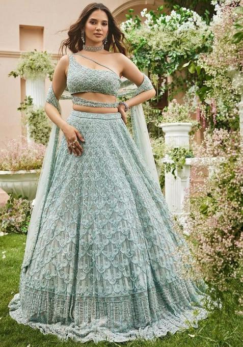 Multicolor embroidered Net Lehenga Set With Dupatta