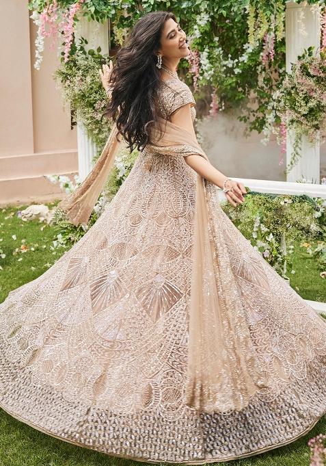 Multicolor embroidered Net Lehenga Set With Dupatta