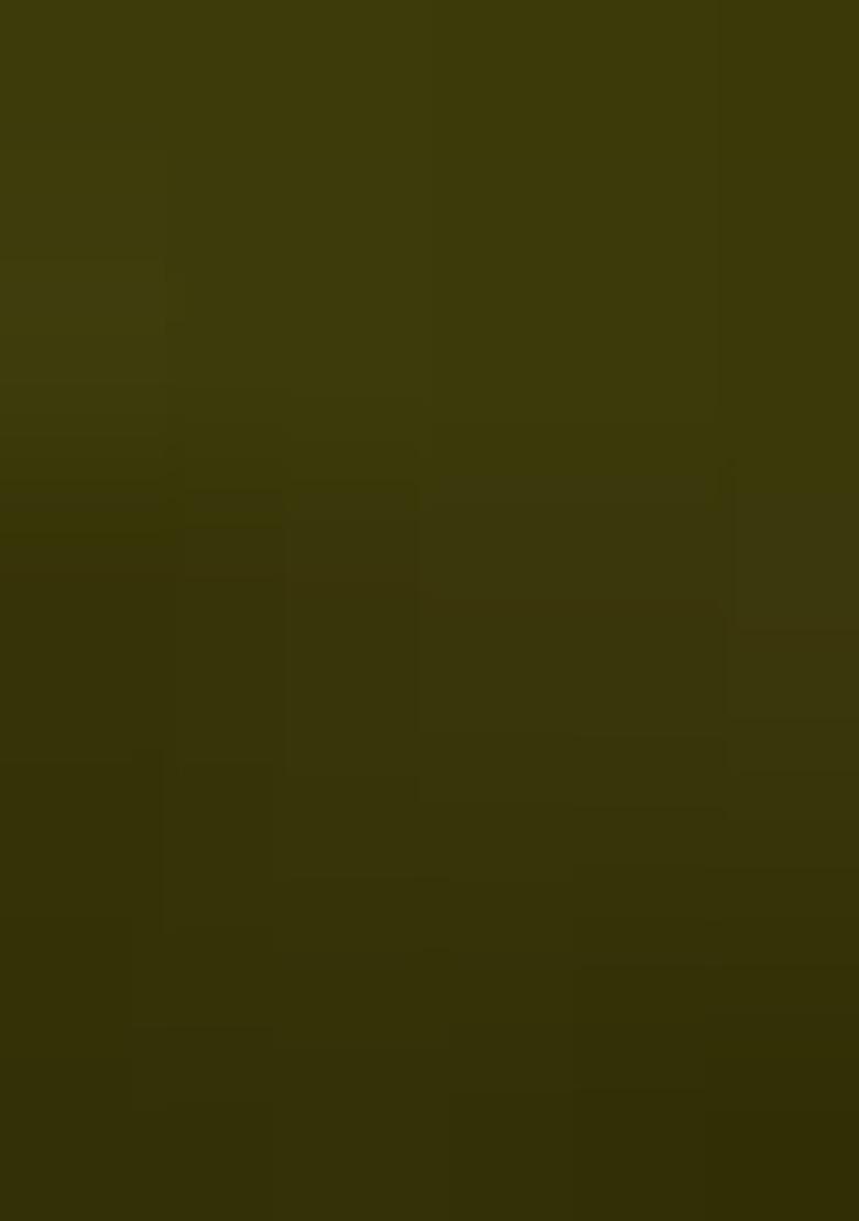 Multicolor embroidered Silk Lehenga Set With Dupatta