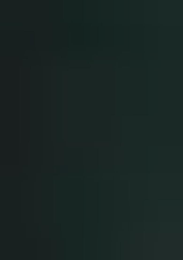 Multicolor embroidered Silk Lehenga Set With Dupatta