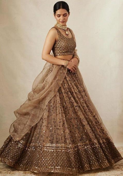 Multicolor embroidered Net Lehenga Set With Dupatta