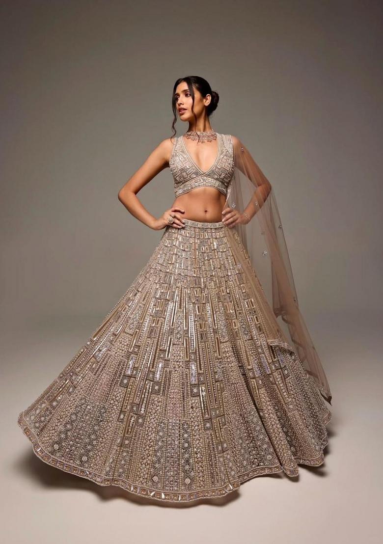 Beige embroidered Net Lehenga Set With Dupatta