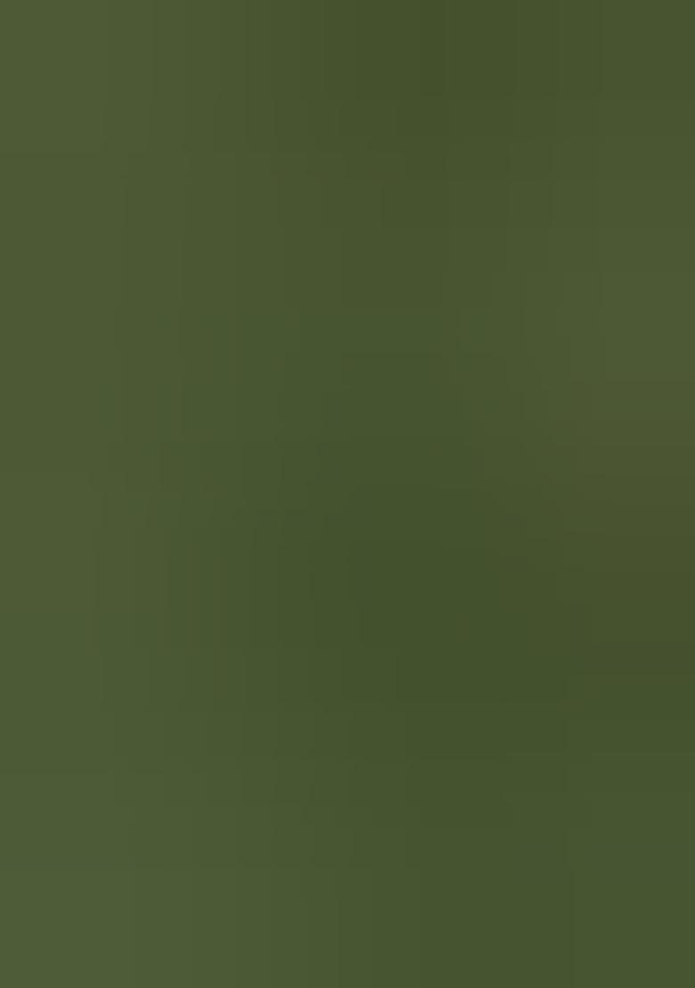 Green embroidered Georgette Lehenga Set With Dupatta