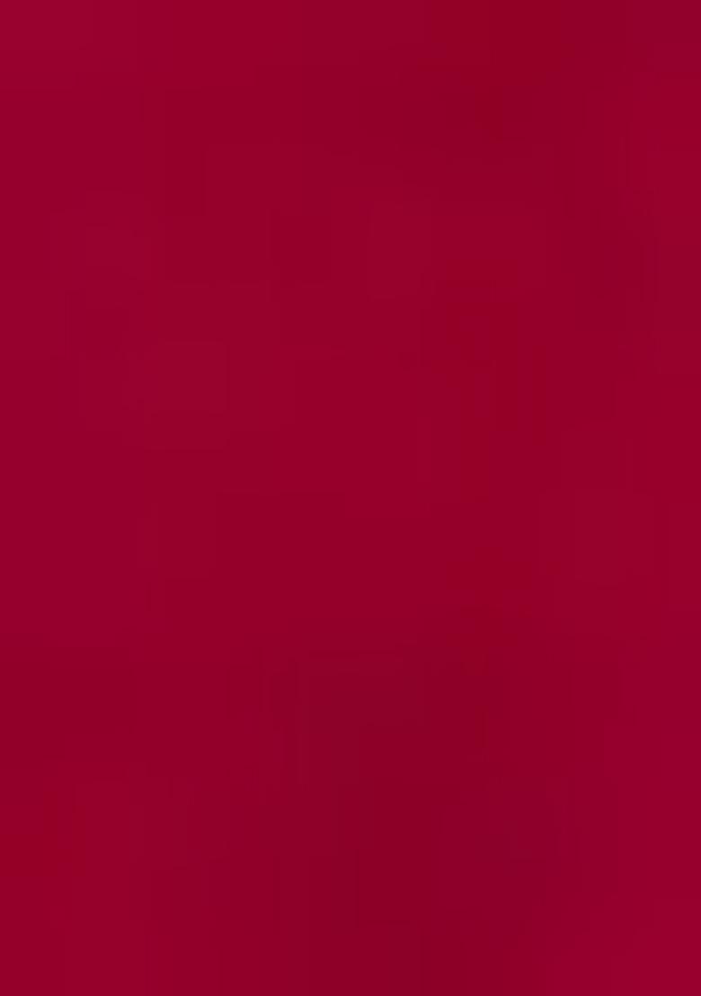 Red embroidered Georgette Lehenga Set With Dupatta