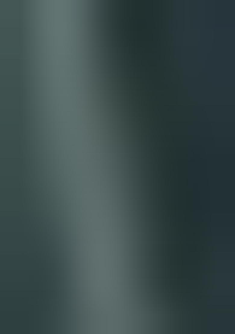 Green embroidered Georgette Lehenga Set With Dupatta