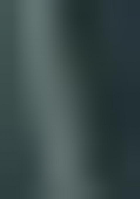 Green embroidered Georgette Lehenga Set With Dupatta