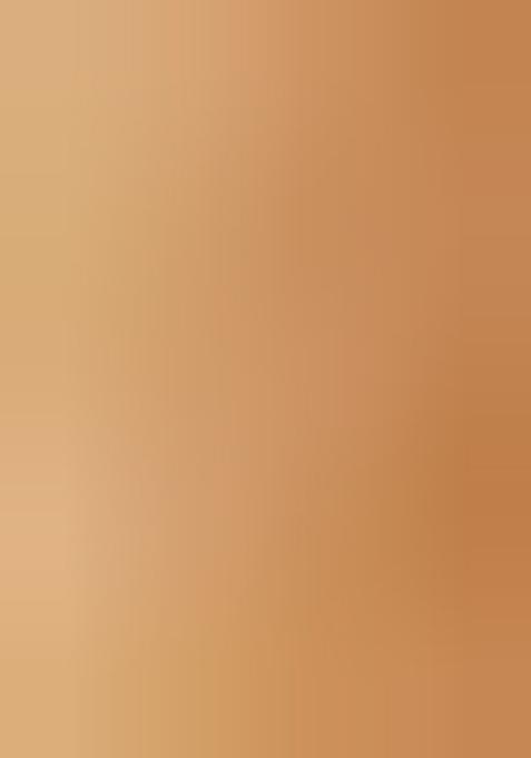 Multi Color Embroidered Silk Lehenga Set With Dupatta