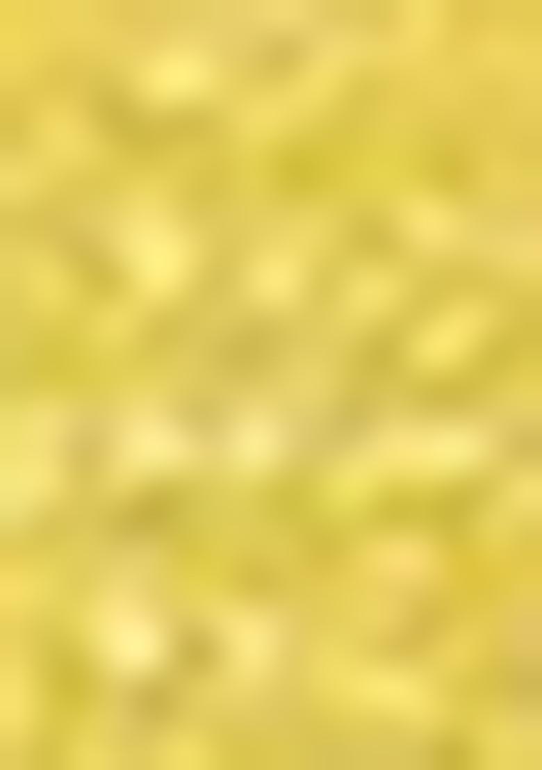 Yellow Embroidered Silk Lehenga Set With Dupatta