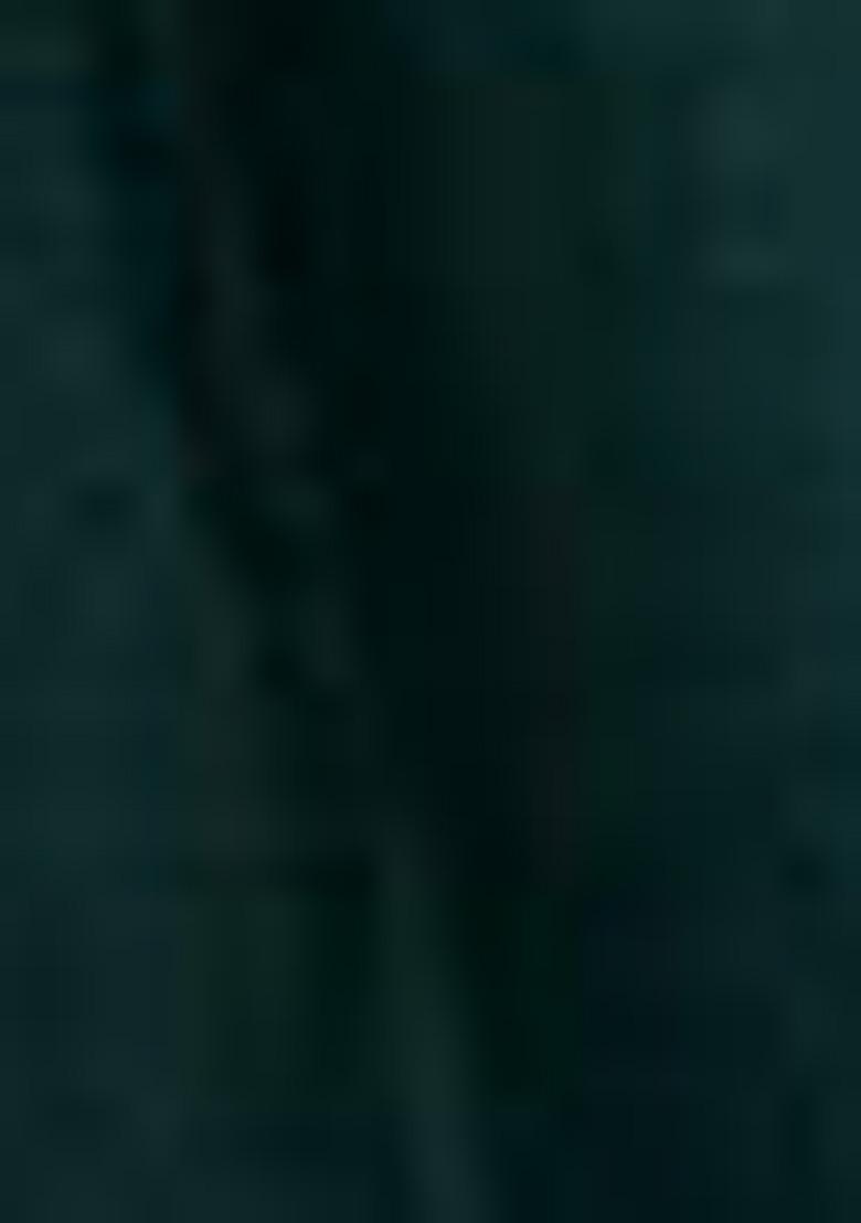 Red Embroidered Cotton Lehenga Set With Dupatta