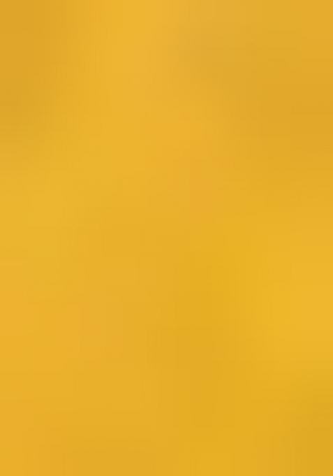 Multi Embroidered Silk Lehenga Set With Dupatta