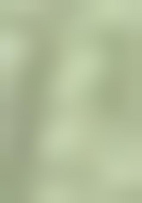 Multi Embroidered Silk Lehenga Set With Dupatta