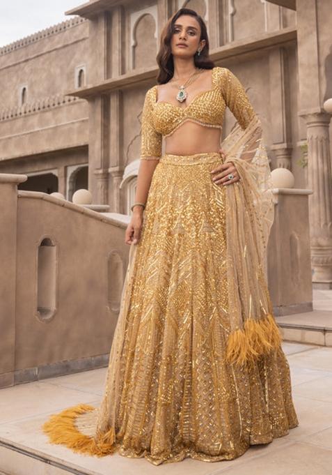 Multi Embroidered Silk Lehenga Set With Dupatta
