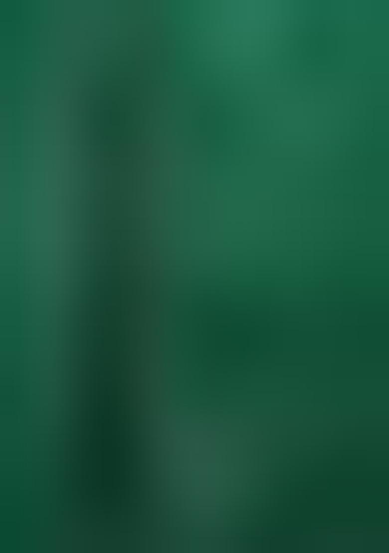 Green Embroidered Silk Lehenga Set With Dupatta