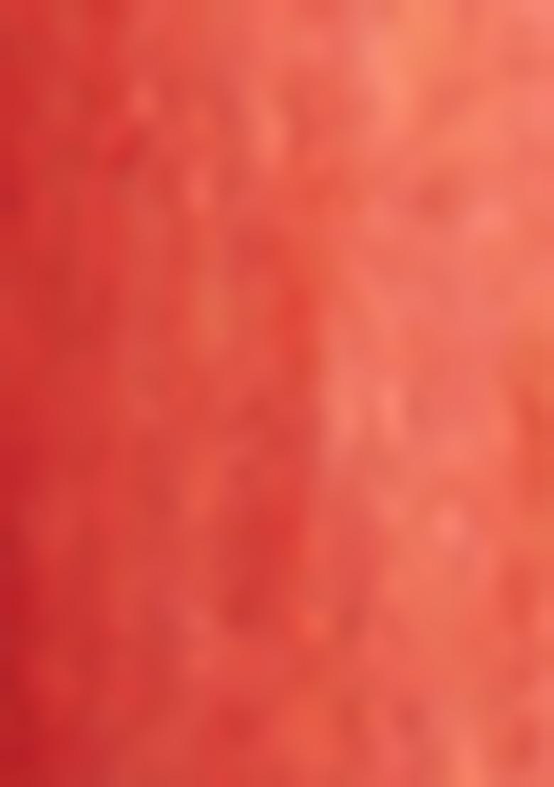 Red Embroidered Silk Lehenga Set With Dupatta