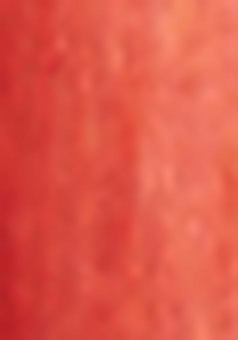 Red Embroidered Silk Lehenga Set With Dupatta