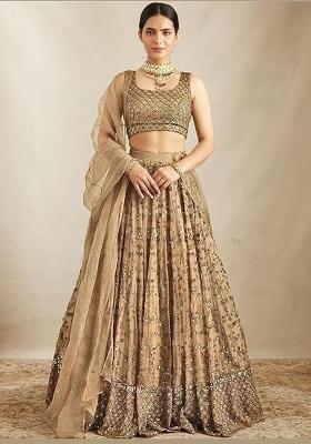 Brown Embroidered Net Lehenga Set With Dupatta