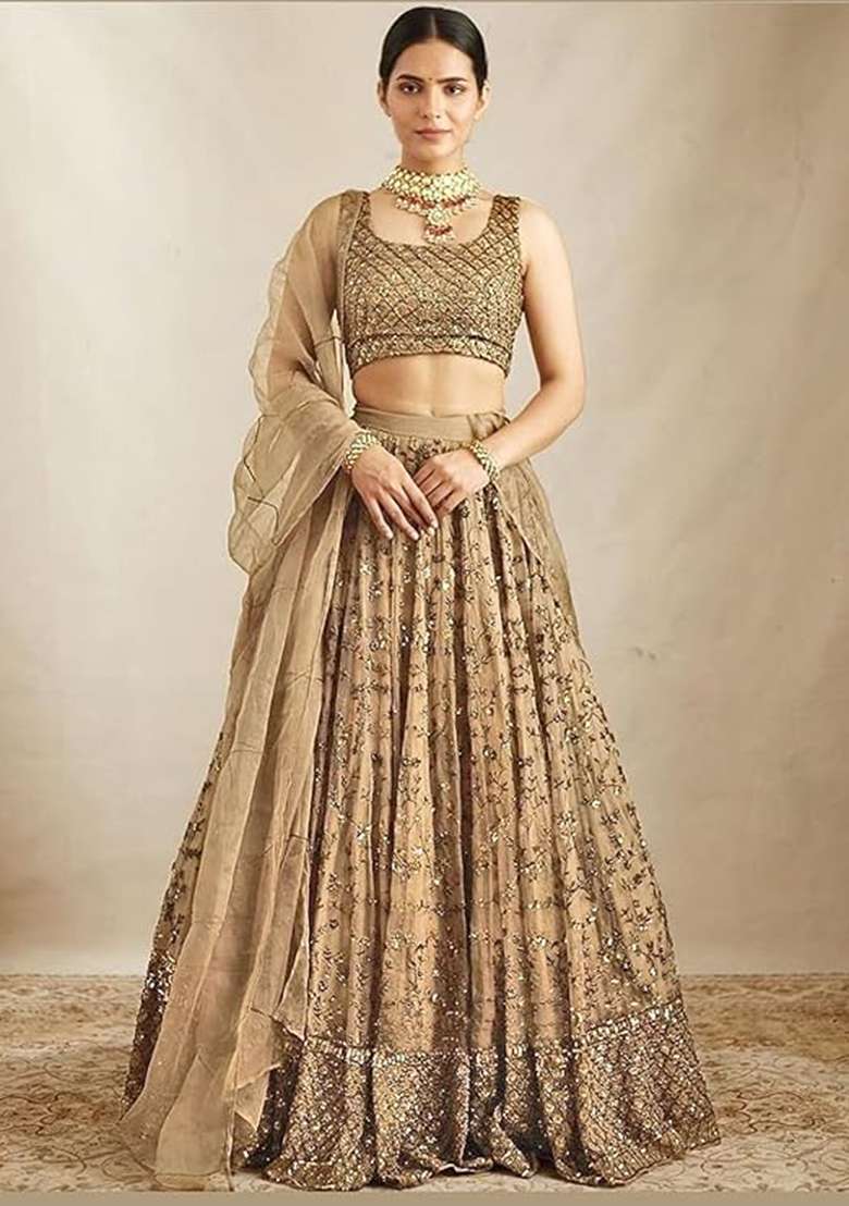 Brown Embroidered Net Lehenga Set With Dupatta - Indya