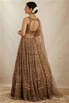Brown Embroidered Net Lehenga Set With Dupatta - Indya