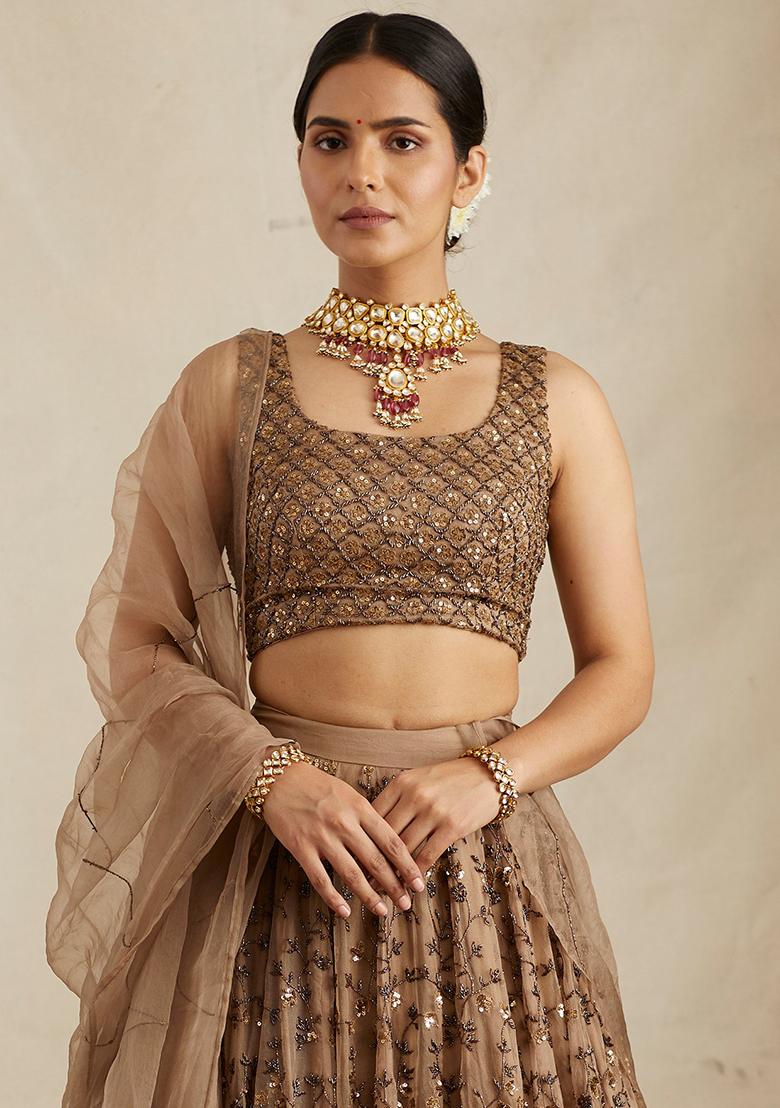 Brown Embroidered Net Lehenga Set With Dupatta