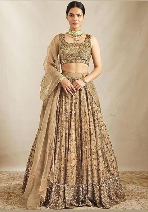 Brown Embroidered Net Lehenga Set With Dupatta