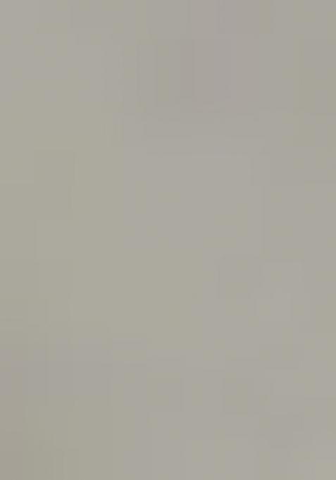 White Embroidered Georgette Lehenga Set With Dupatta